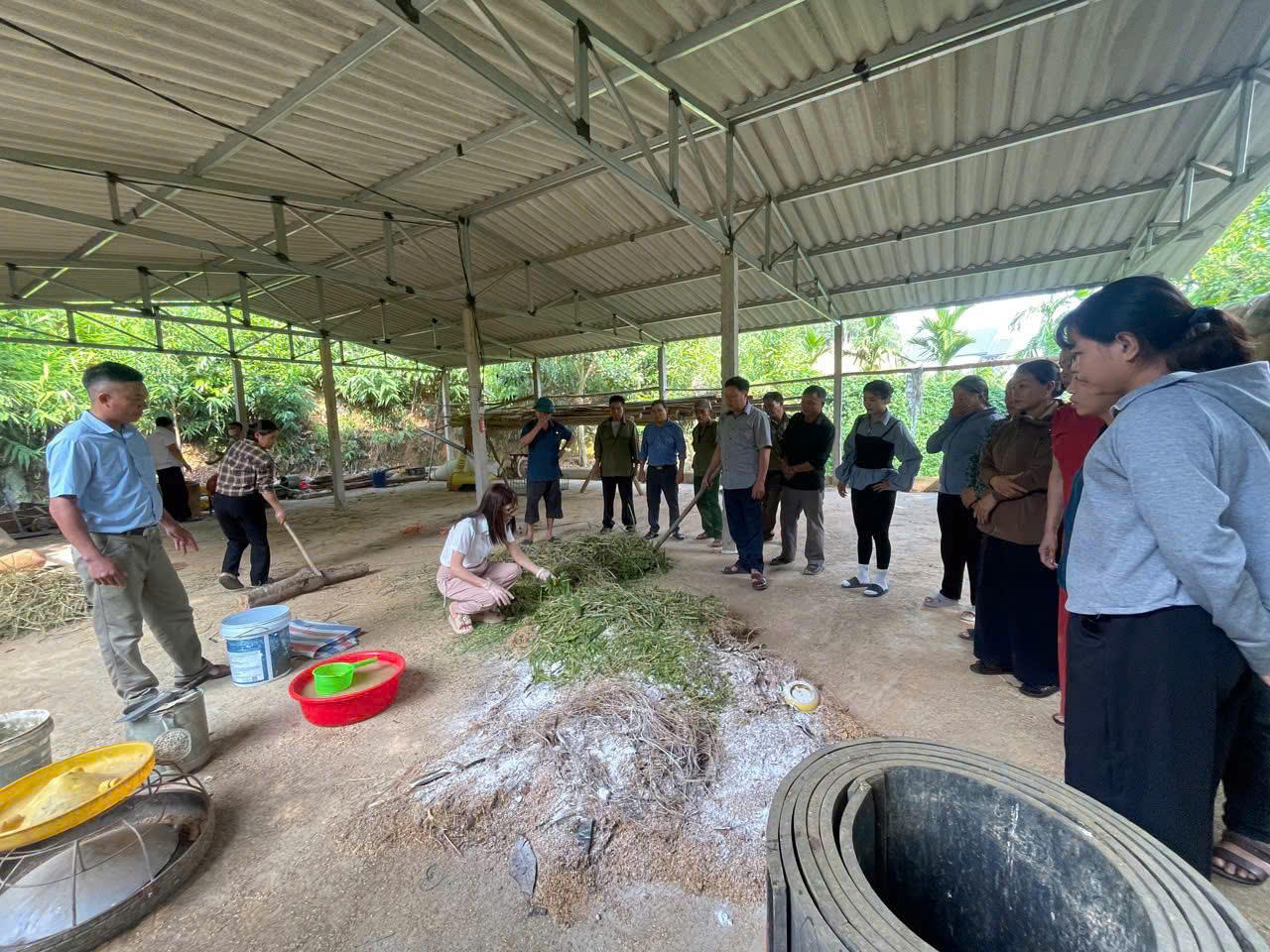 Nhân rộng mô hình chăn nuôi lợn nái an toàn dịch bệnh dựa vào cộng đồng tại Lào Cai