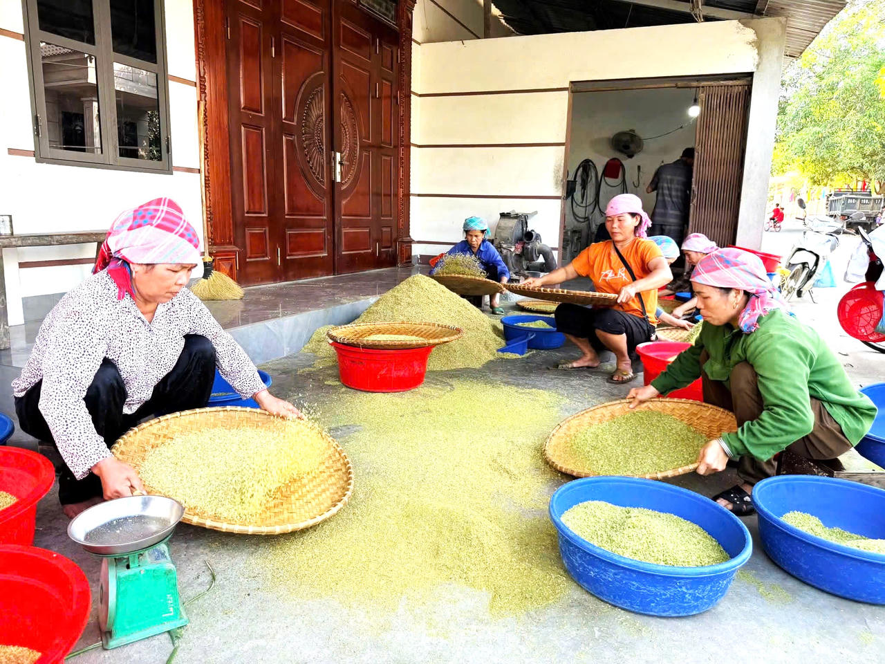 Giữ hương cốm truyền thống ở Hợp Thành (Lào Cai)