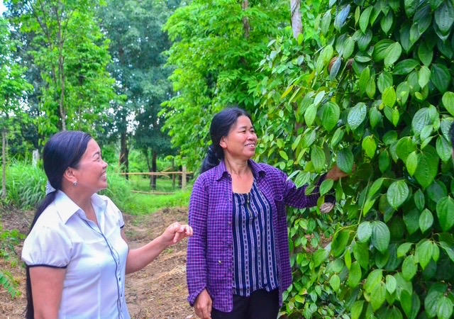 Xã Cồn Tiên (Quảng Trị): Tạo đà phát triển từ nông nghiệp và du lịch