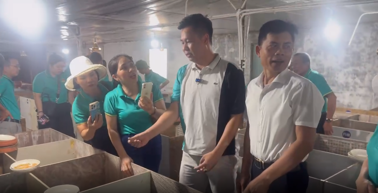 Điểm sáng Nông thôn mới tại Phú Xuyên, Hà Nội: Chàng trai 9X xây cơ ngơi nghìn mét vuông từ mô hình chăn nuôi sáng tạo