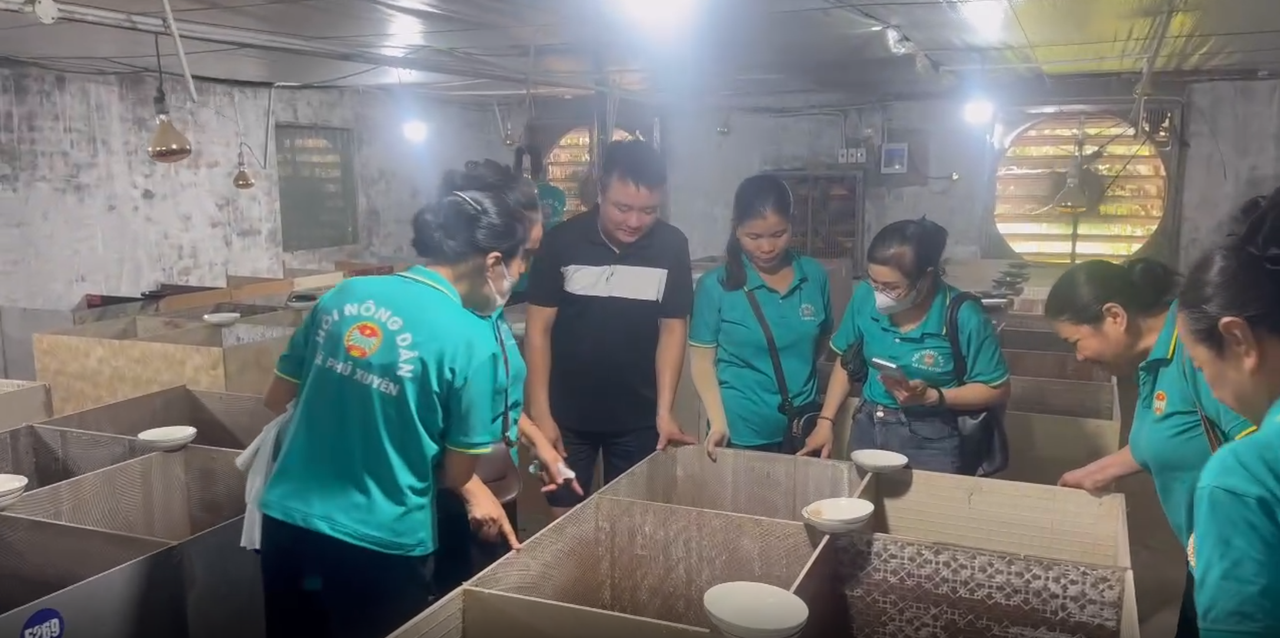 Đông đảo người dân quan tâm và đến tham quan mô hình chăn nuôi của anh Chính
