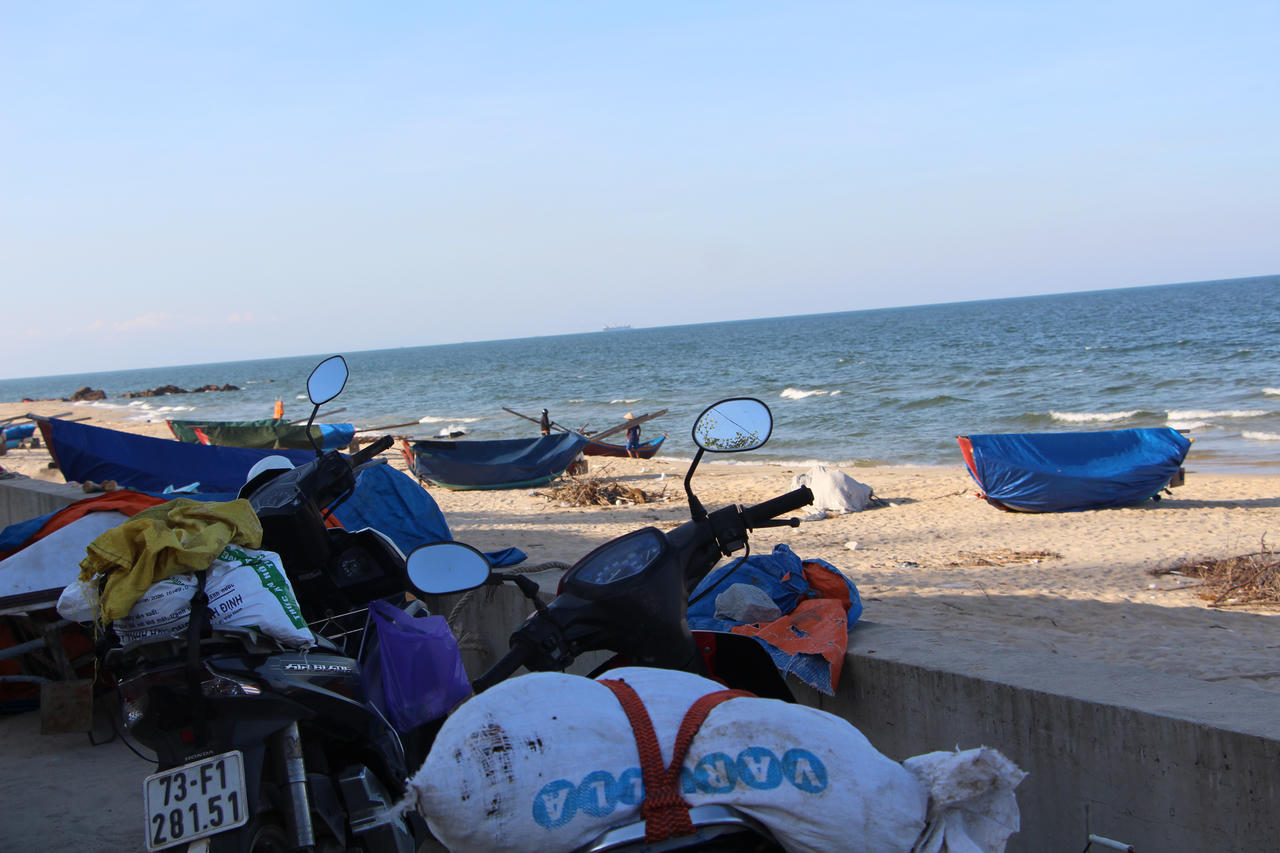 Cá chết dạt vào bờ biển kéo dài hơn 1km ở Quảng Trị