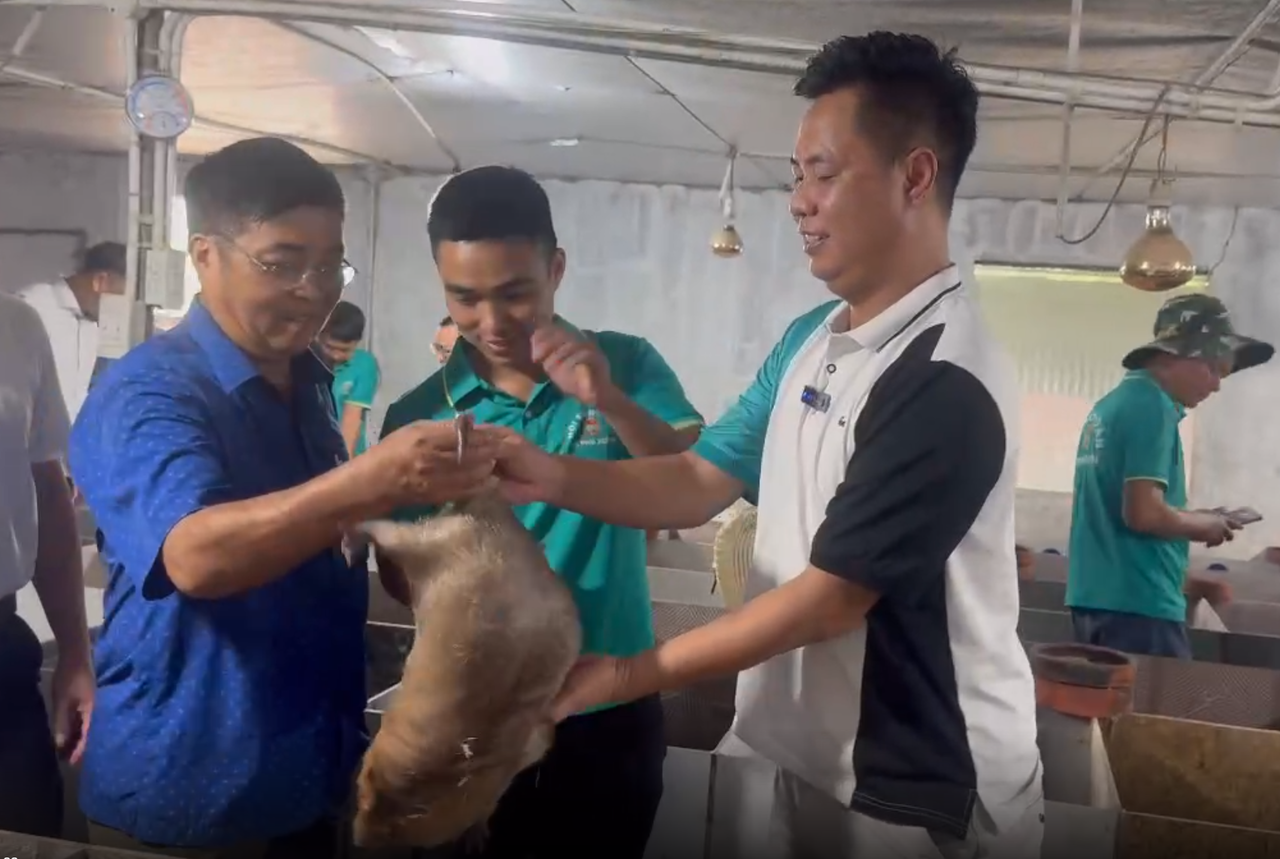 Điểm sáng Nông thôn mới tại Phú Xuyên, Hà Nội: Chàng trai 9X xây cơ ngơi nghìn mét vuông từ mô hình chăn nuôi sáng tạo