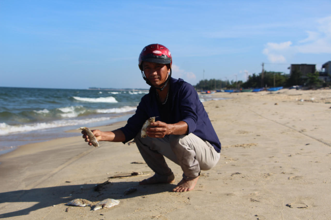 Người dân nhặt cá chết trôi dạt vào bờ để xử lý. (Ảnh: Minh Phương)