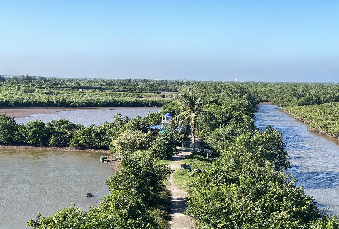 Vườn quốc gia Xuân Thủy – Thiên nhiên kỳ thú nơi cửa biển Ninh Bình