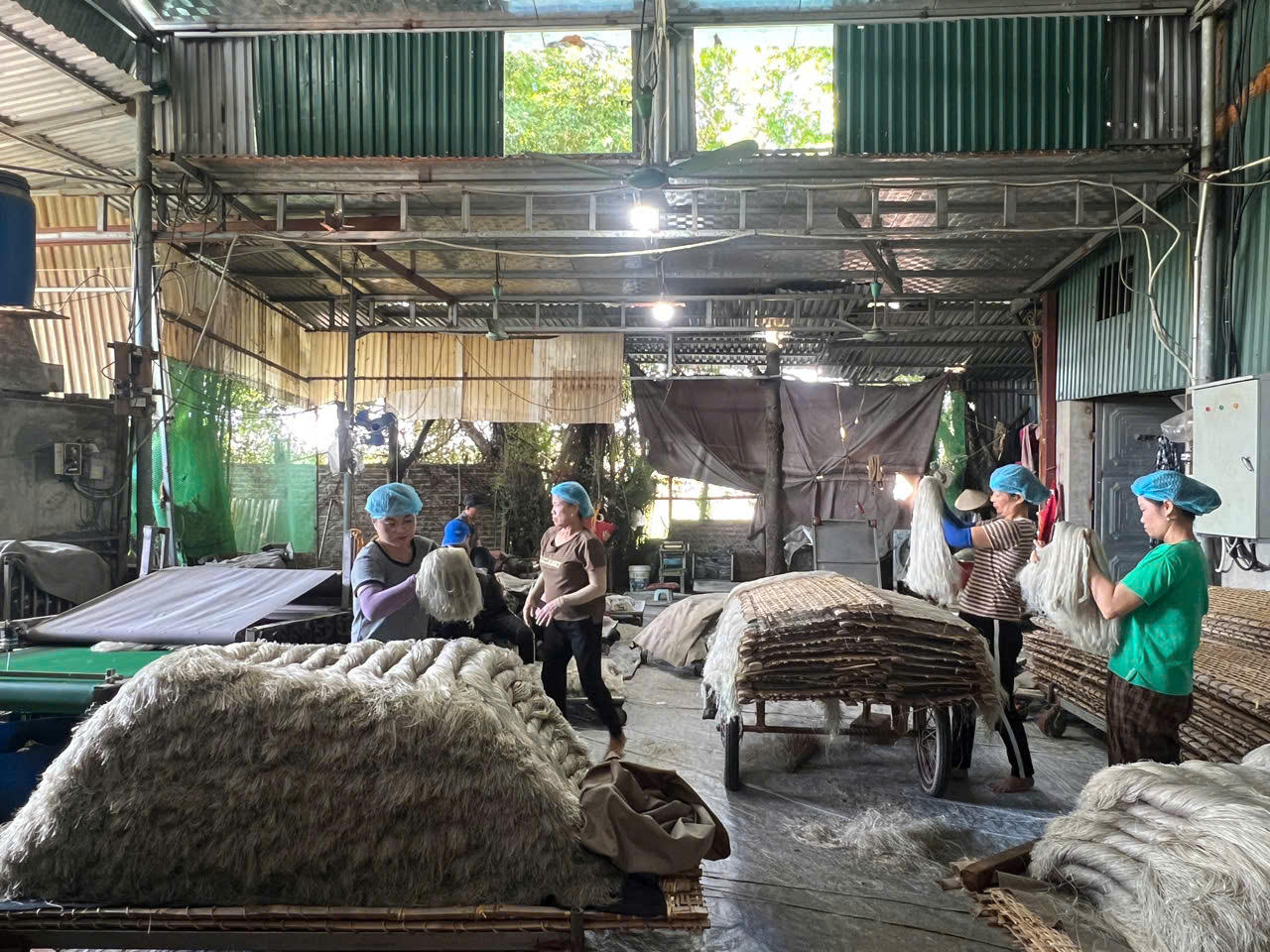 Miến dong Dương Kiên chinh phục OCOP 5 sao quốc gia và khát vọng vươn ra biển lớn