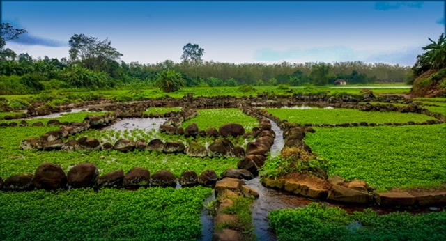 Giếng cổ Gio An, một trong những địa điểm thu hút du khách đến tham quan, trải nghiệm (Ảnh: Trần Tuyền)