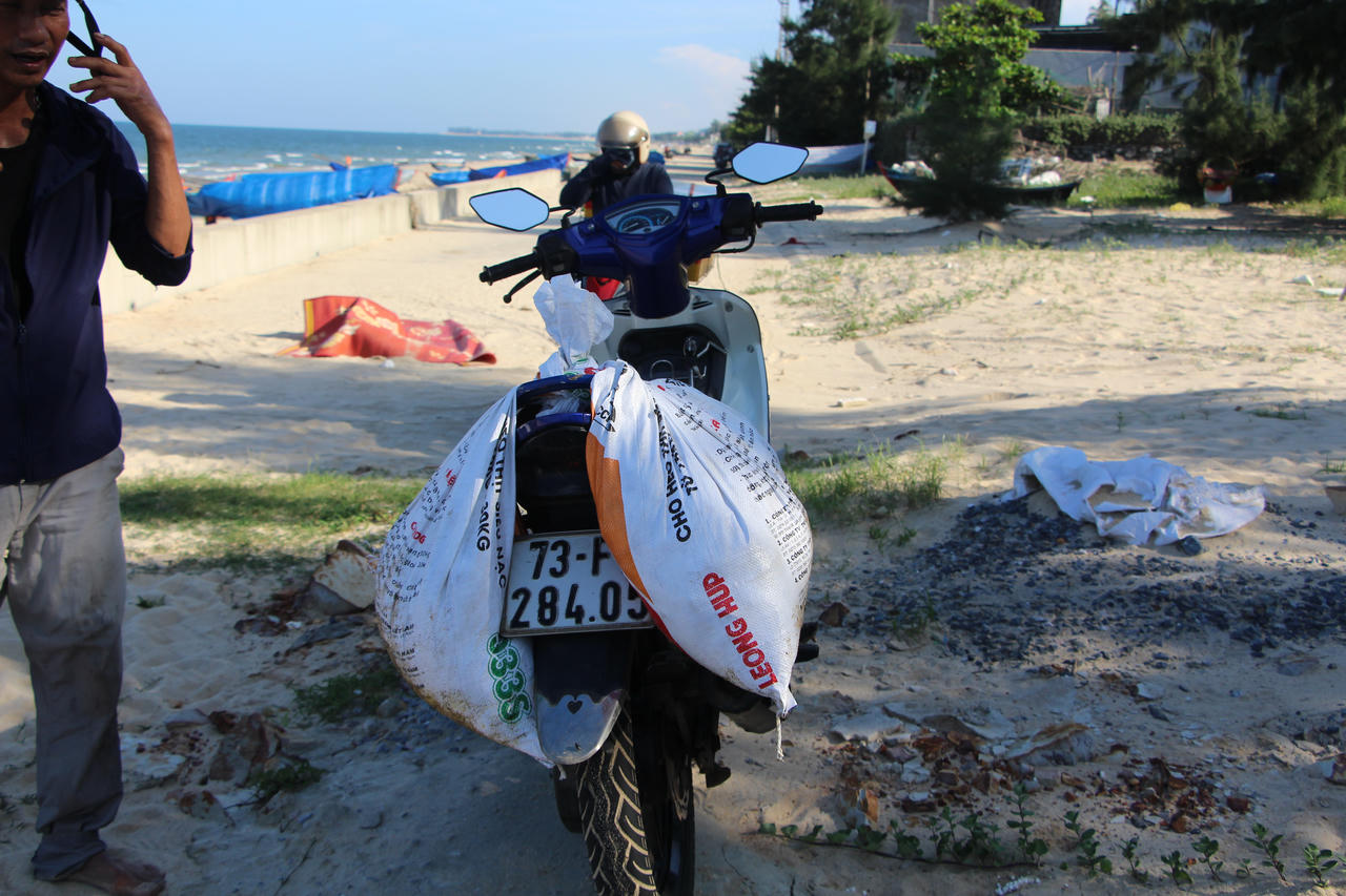 Cá chết dạt vào bờ biển kéo dài hơn 1km ở Quảng Trị