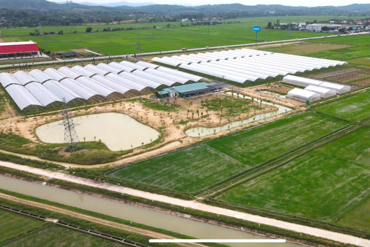 Nguồn vốn tín dụng chính sách đã hỗ trợ nhiều hộ dân trên địa bàn Đô Lương phát triển sản xuất, tạo việc làm và ổn định cuộc sống.