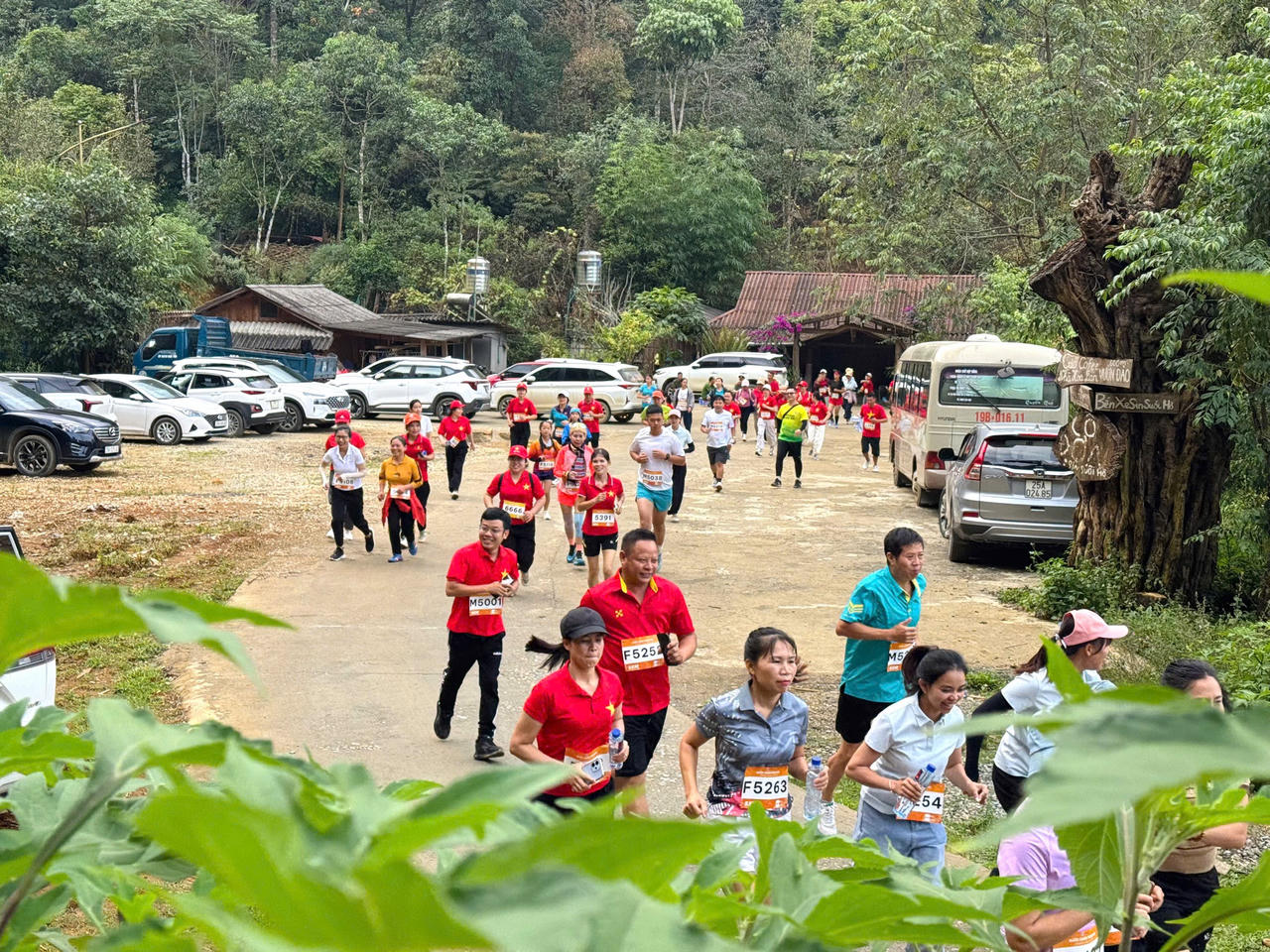 Vận động viên tranh tài giải 5km.