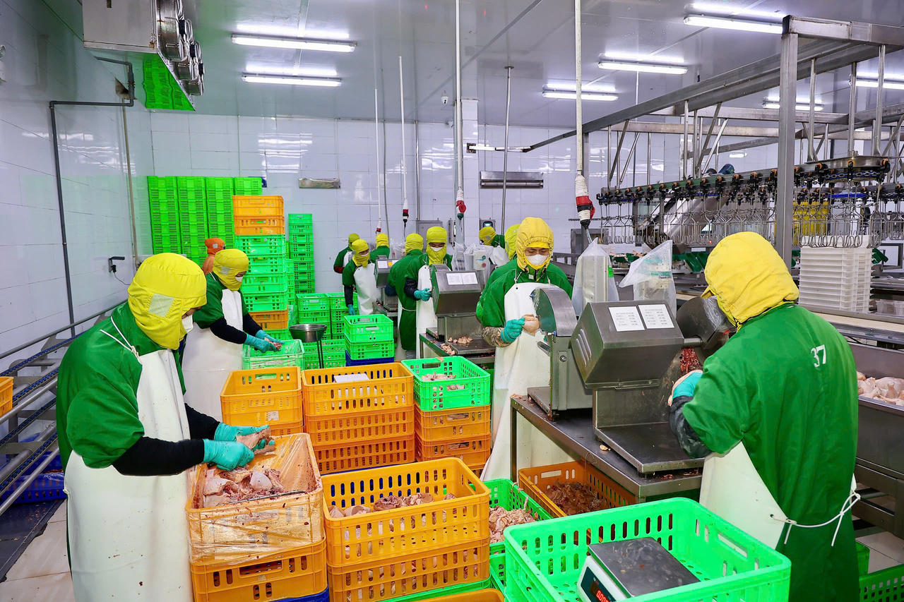 Hải Phòng: Giám sát thực tiễn để hoàn thiện hành lang pháp lý về an toàn thực phẩm