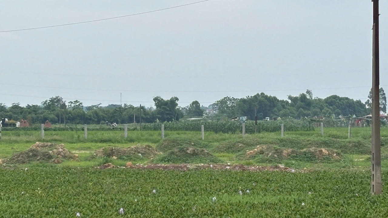 Thành phố Bắc Ninh duyệt đề án nâng cao năng lực xử phạt vi phạm hành chính trong lĩnh vực đất đai