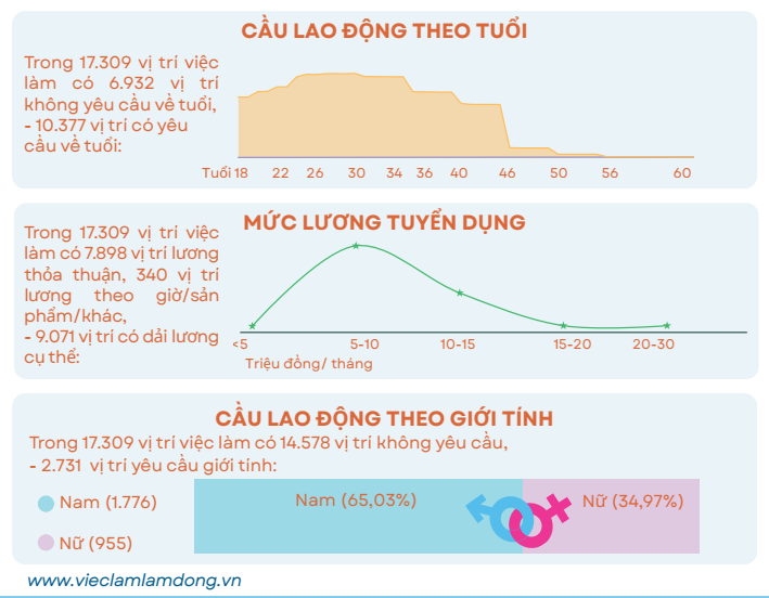 Thống kê cầu lao động theo tuổi, giới tính và mức lương tuyển dụng.