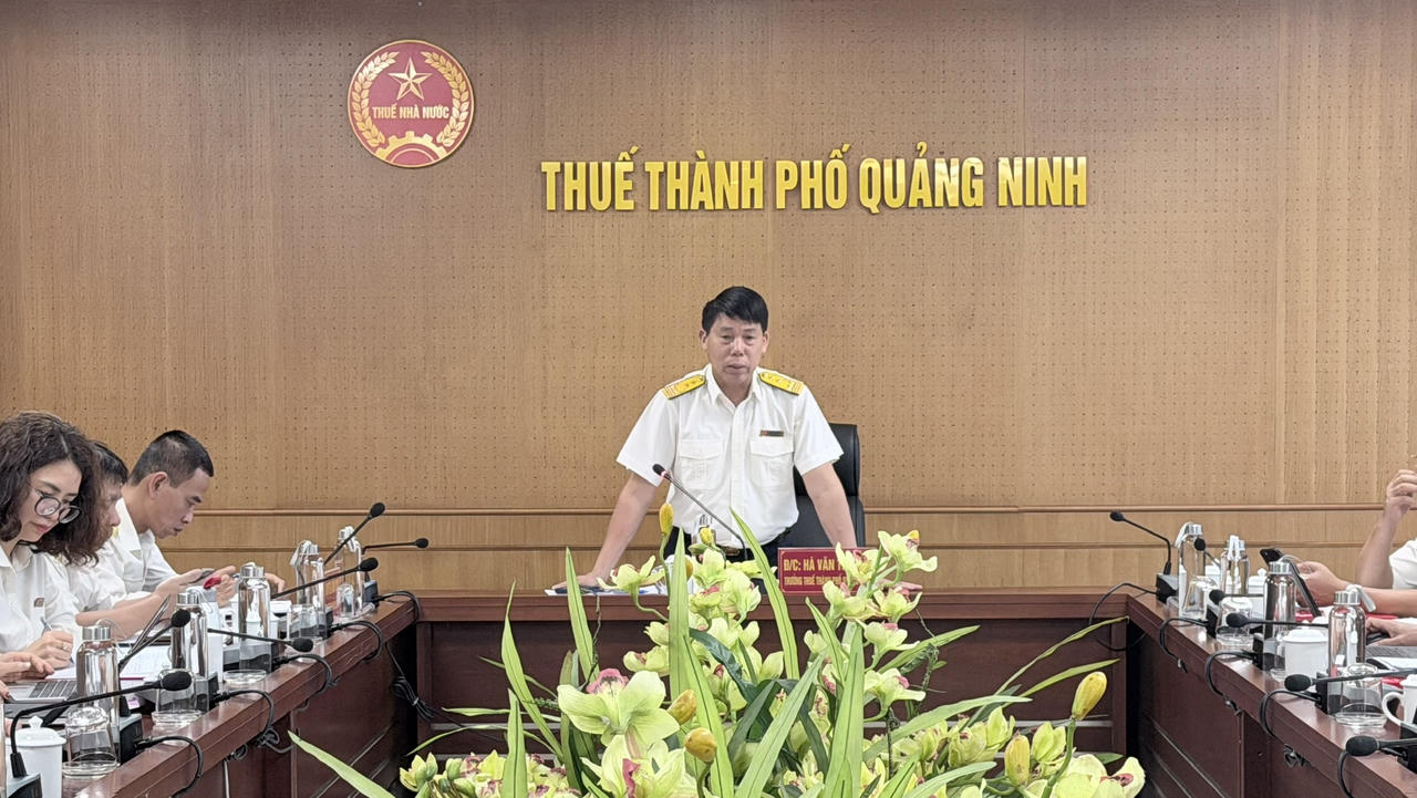 Quảng Ninh đẩy nhanh làm sạch mã số thuế, chuẩn hóa dữ liệu quản lý