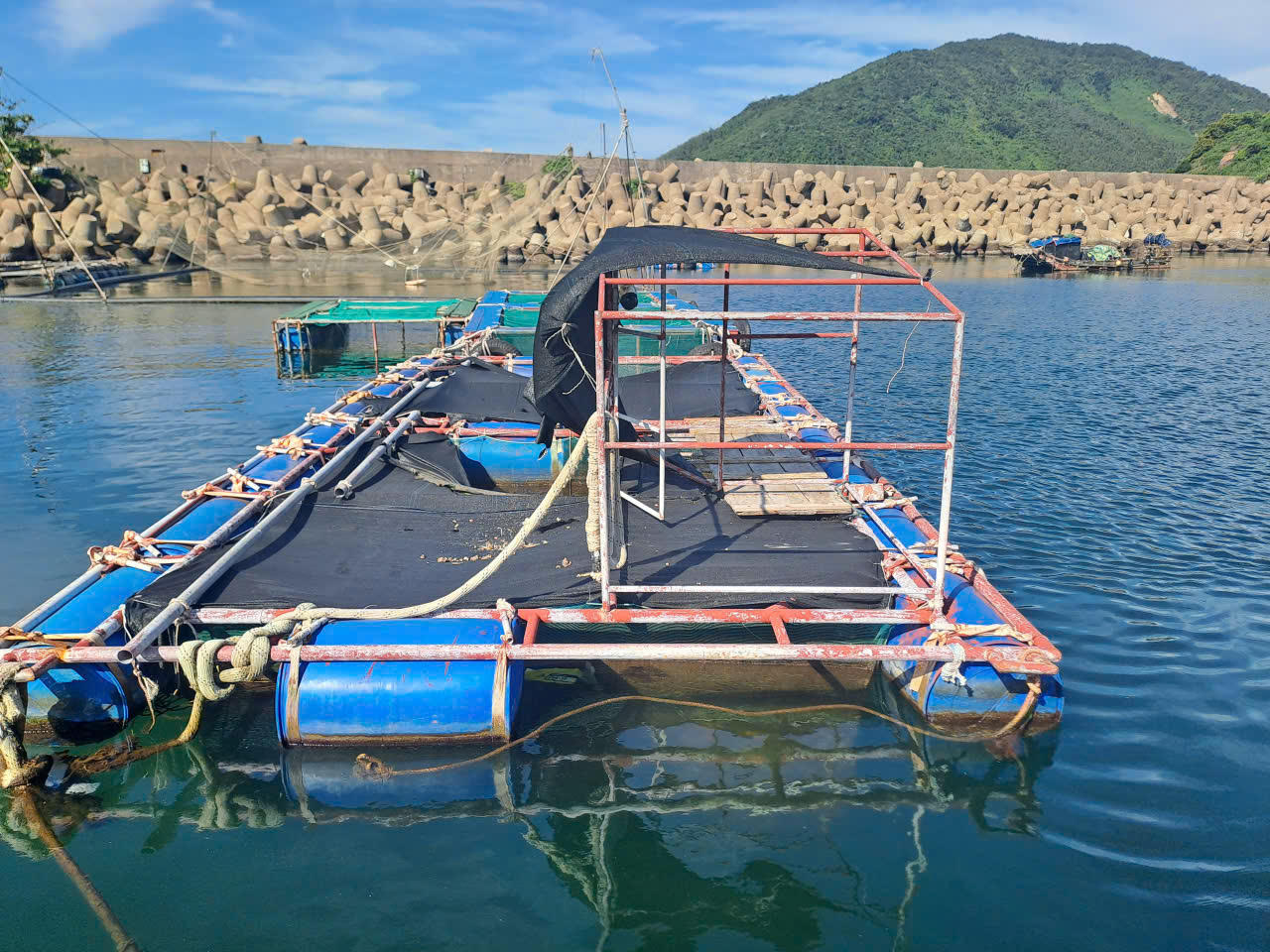Nuôi cá lồng bè tại phường Vũng Áng. (Ảnh: PV)