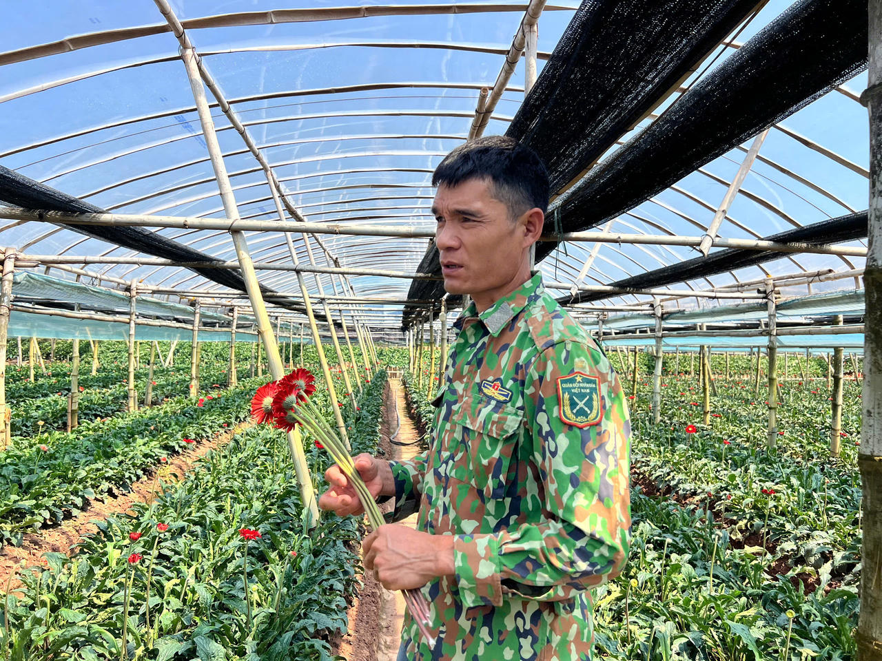 Ông Bùi Văn Khá, Giám đốc Hợp tác xã hoa Đồng Tháp, góp phần lan tỏa tinh thần liên kết sản xuất, cùng phát triển kinh tế ở Đan Phượng (Ảnh: Trang Huyền) 