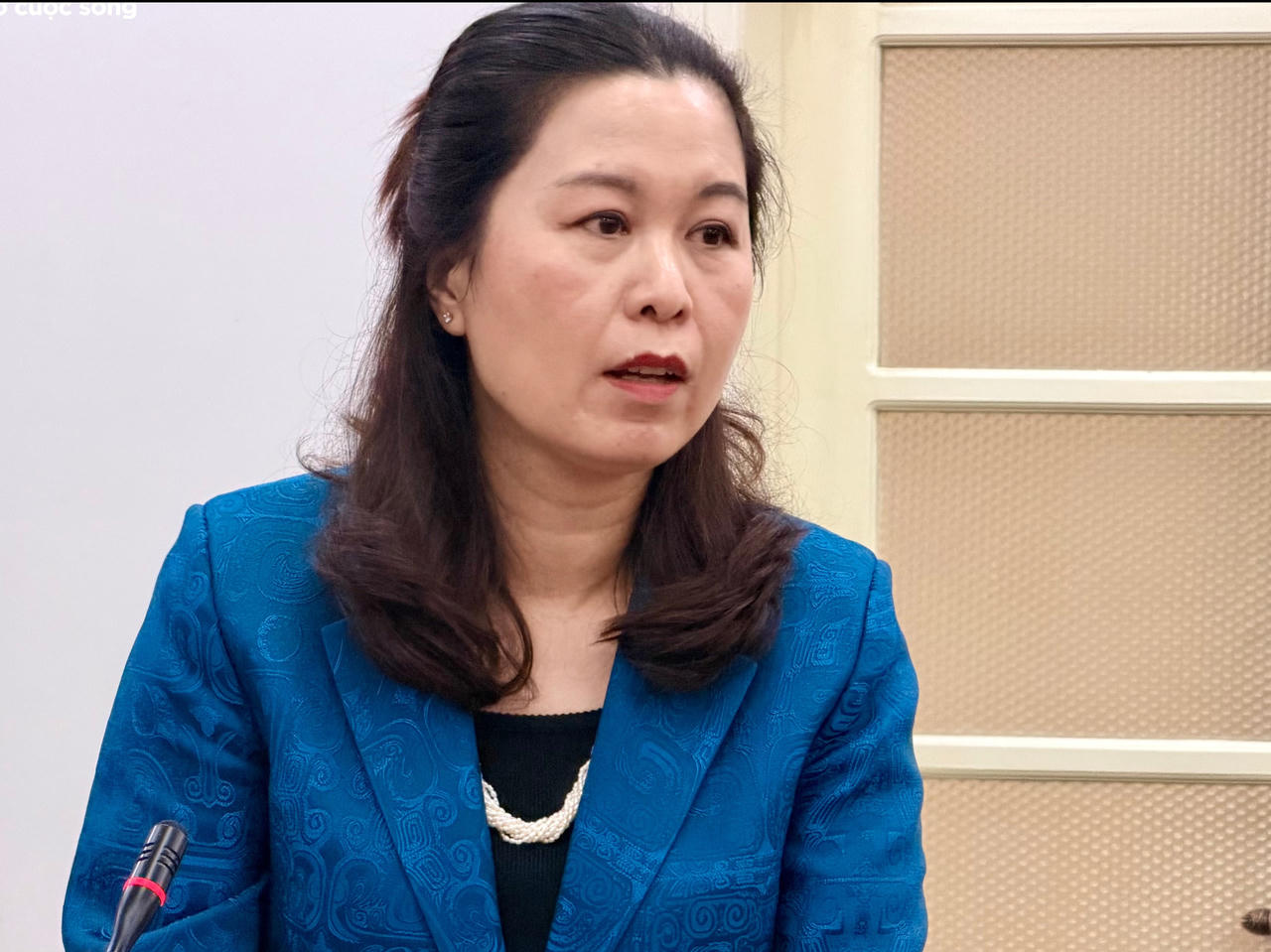  Bà Vi Thanh Hoài, Phó Cục trưởng Cục Văn hóa - Thông tin cơ sở và Gia đình phát biểu tại cuộc họp báo (Ảnh: T. Huấn).