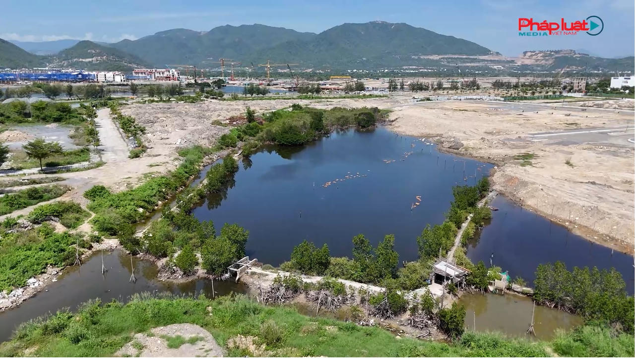 Gần 4,4 héc-ta của bà Nguyễn Thị Kim Anh bị thu hồi để phục vụ dự án  Khu dân cư phía Tây sông Tắc 1 (sau đổi tên là Khu đô thị An Bình Tân)