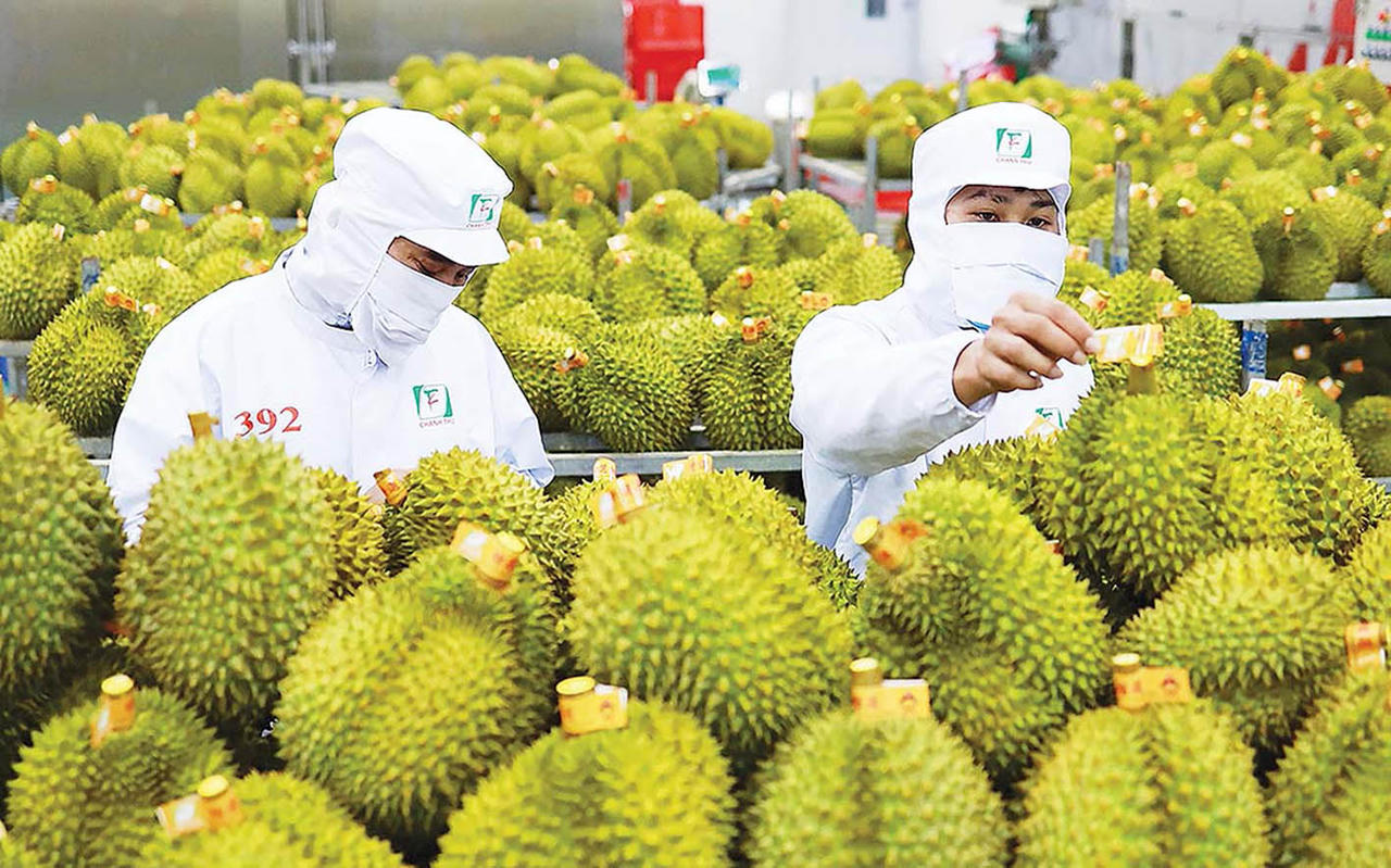 Từ 2027, áp dụng quy định mới về xác định xuất xứ hàng hóa Việt Nam