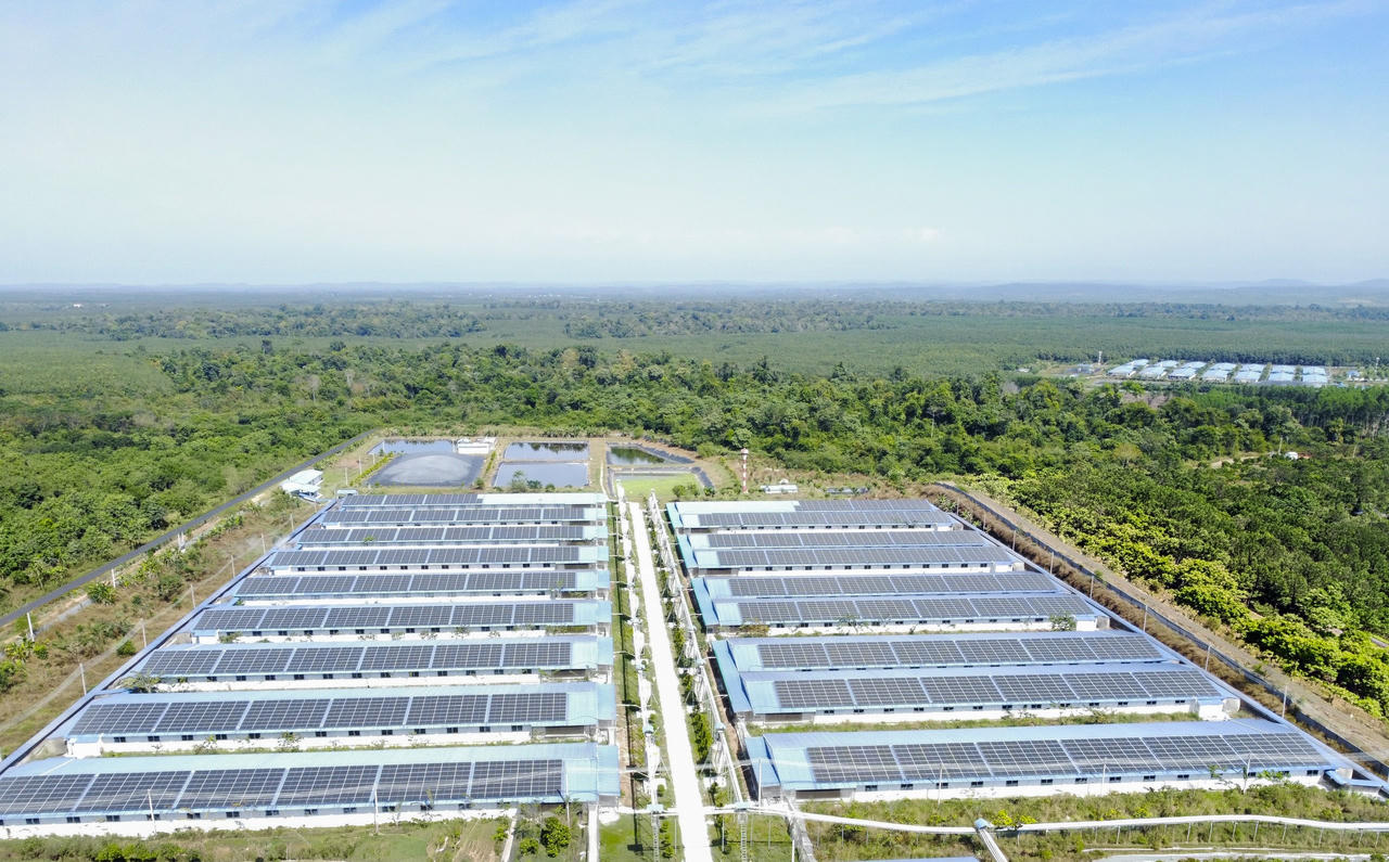 Các giải pháp sử dụng năng lượng tái tạo, điện mặt trời, khí sinh học, tiết kiệm năng lượng, quản lý nước và chất thải tiếp tục được triển khai tại các cơ sở sản xuất. C.P. Việt Nam thúc đẩy các nguyên tắc kinh tế tuần hoàn.