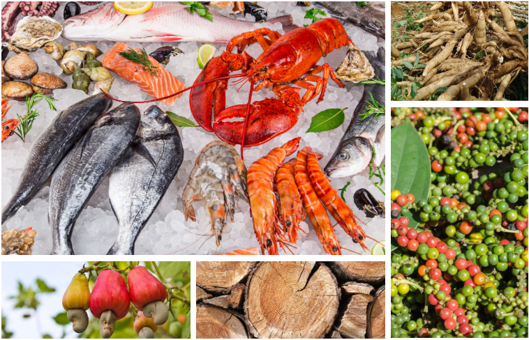 Mặt hàng nông, thủy sản tận dụng tốt C/O đi các thị trường FTA