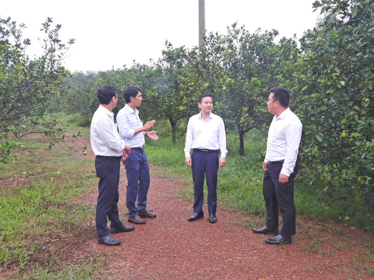 Đoàn công tác trao đổi với lãnh đạo địa phương tìm hiểu mô hình O’Range Stay tại thôn Phú Hưng. (Ảnh: Minh Phương)