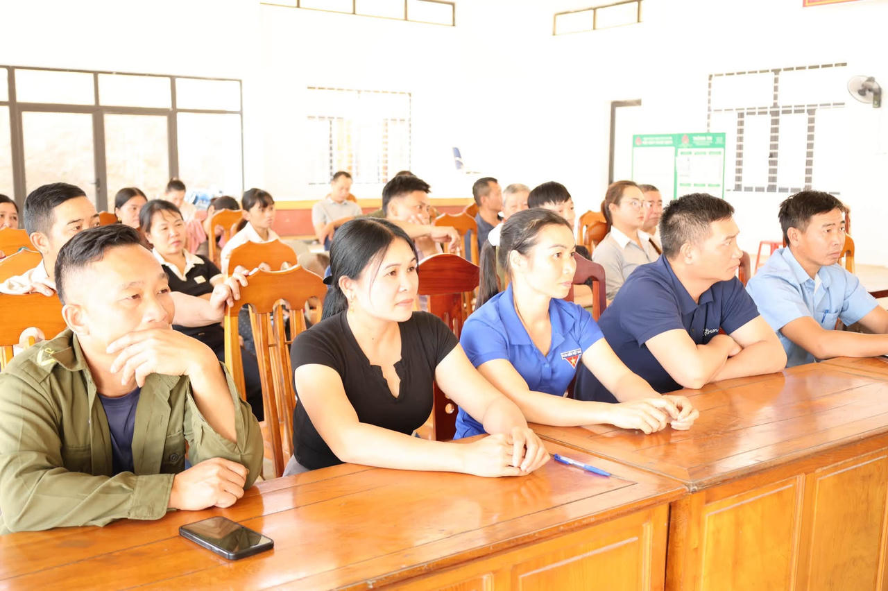 Hướng tới giảm nghèo bền vững từ cây quế Hữu cơ trên đất Bảo Hà