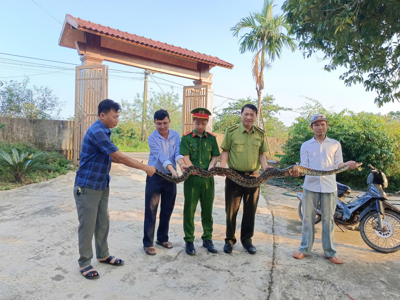 Phát hiện trăn đất nặng 10kg người dân tự nguyện giao nộp để thả về rừng