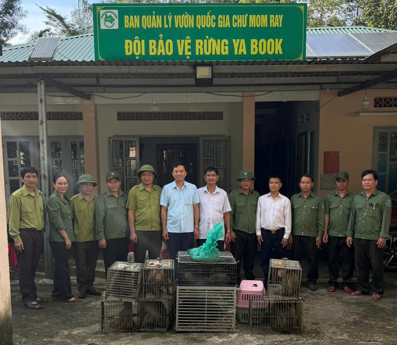 Lực lượng chức năng và cán bộ Vườn quốc gia Chư Mom Ray làm công tác bàn giao, thả 16 cá thể động vật hoang dã về môi trường tự nhiên. (Ảnh Vườn quốc gia Chư Mom Ray)