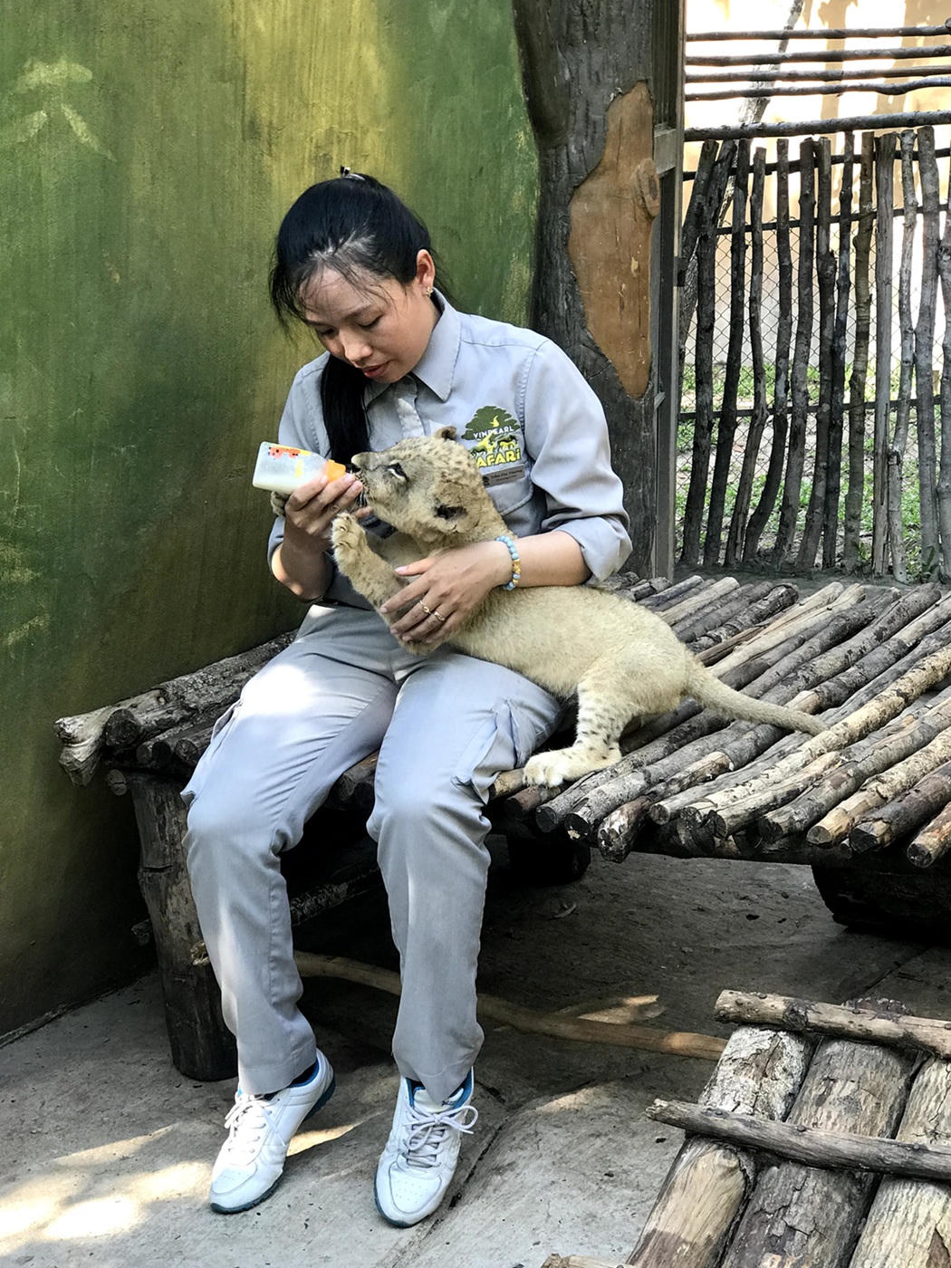 Phía sau cánh cửa Vinpearl Safari hơn 500 ha lớn nhất Việt Nam: Những đêm trắng và phép màu của sự sống