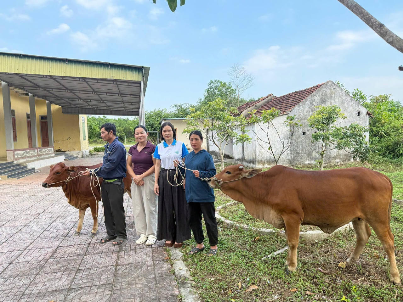 Hai hộ dân Trần Văn Đức và Nguyễn Thị Hằng ở thôn Thượng Lộc nhận bò hỗ trợ. (Ảnh: QH)