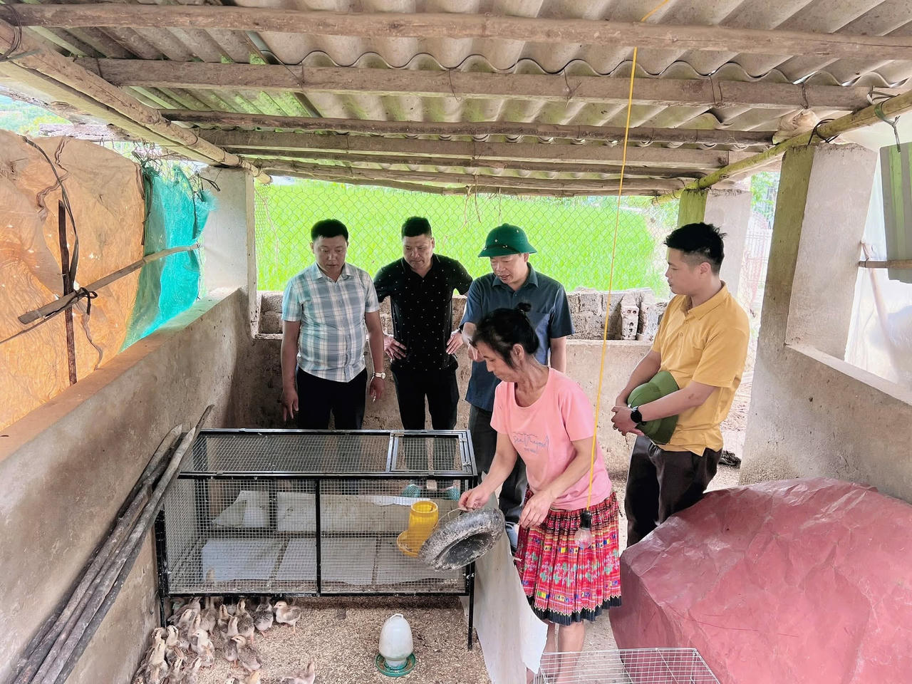 Một trong những giải pháp được xã Phình Hồ chú trọng trong công tác giảm nghèo là hỗ trợ người dân có thêm tư liệu sản xuất, từng bước chủ động phát triển kinh tế gia đình (Ảnh: UBND xã Phình Hồ).