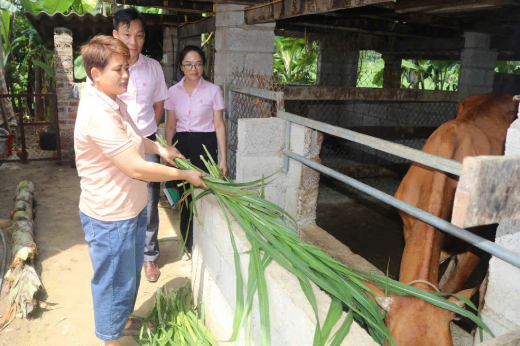 Người dân Hà Quảng sử dụng vốn tín dụng chính sách, từng bước ổn định cuộc sống.