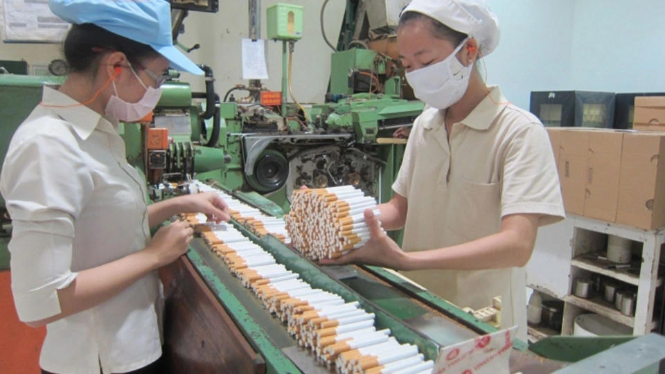 Đề xuất Quỹ Phòng bệnh chủ trì rà soát, giám sát việc thu, nộp khoản đóng góp bắt buộc vào Quỹ