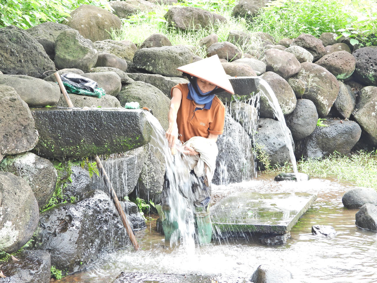 Tiềm năng hồ tiêu trên đất đỏ bazan, rau liệt bên giếng cổ nghìn năm ở Quảng Trị