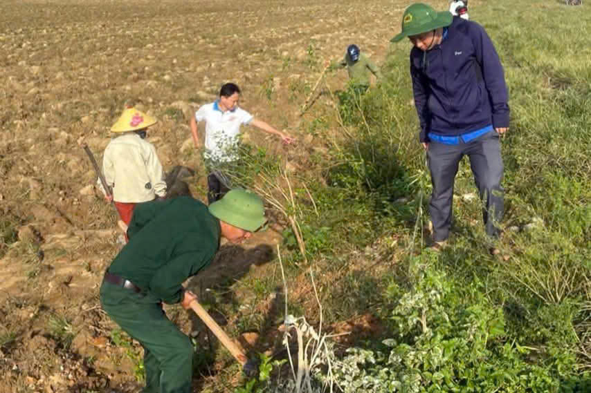 Cán bộ xã, lực lượng quân sự xã Xuân Lâm tham gia bắt chuột bảo vệ cây trồng (Ảnh: Dương Toàn)
