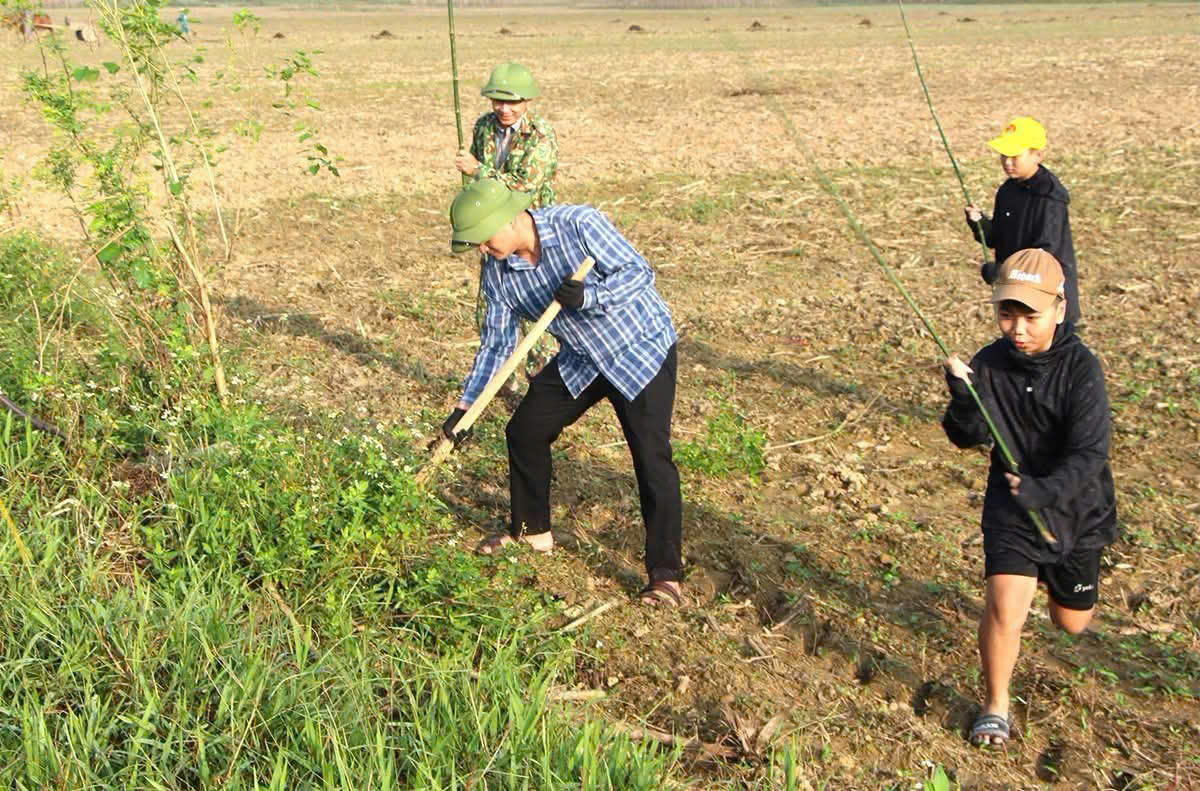  Nhờ sự vào cuộc quyết liệt, đồng bộ của chính quyền cùng sự hưởng ứng tích cực của người dân, phong trào diệt chuột, bảo vệ mùa màng trên địa bàn đã đạt được những kết quả đáng ghi nhận. (Ảnh: Dương Toàn)