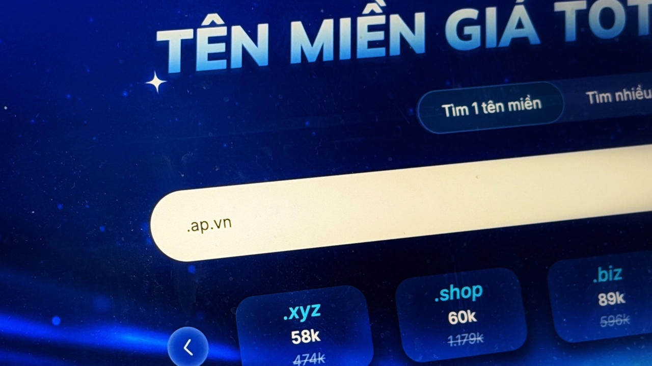 Giao diện một trang đăng ký tên miền. (Ảnh: Bộ KH&CN)