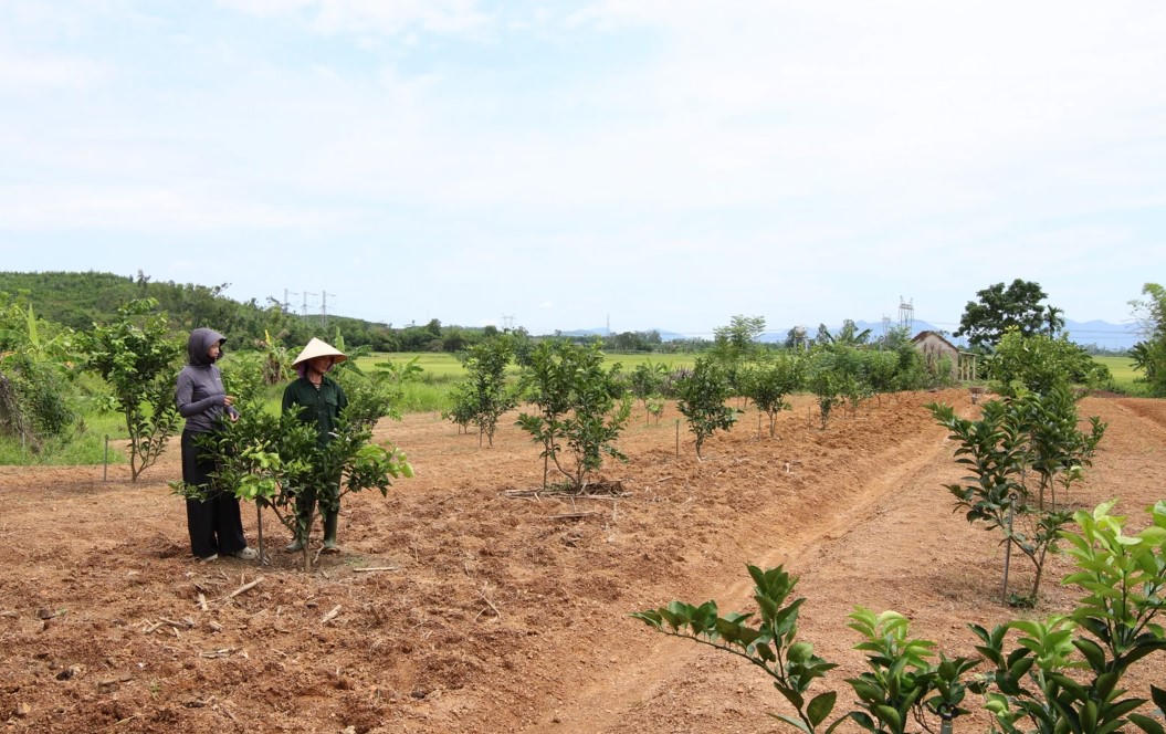 Nhiều mô hình kinh tế hộ gia đình ra đời. (Ảnh: PV)