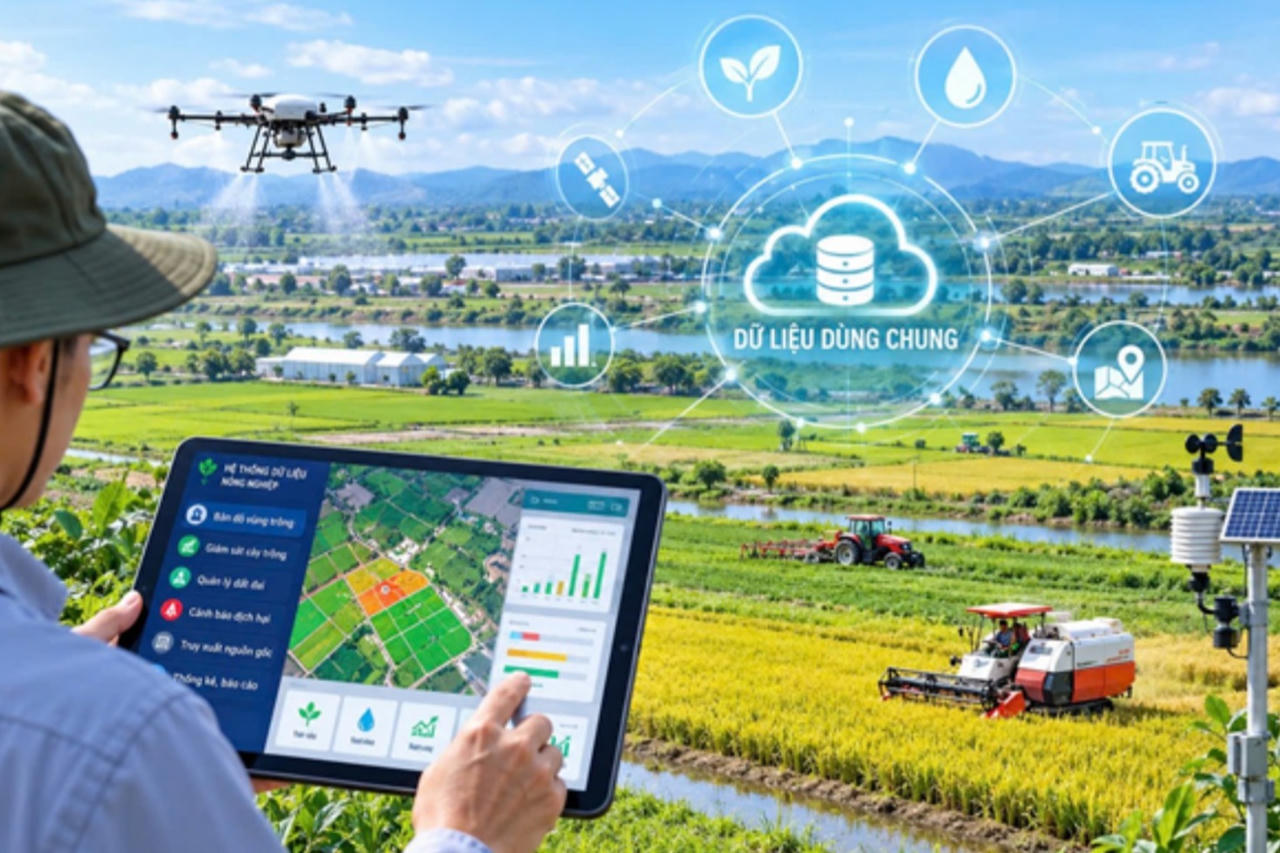 Khơi thông nguồn lực phát triển nông nghiệp từ dữ liệu dùng chung
