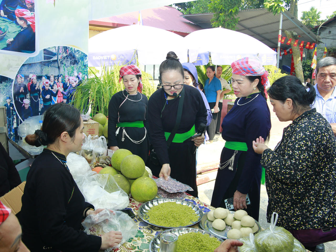 Khai hội Đền Đôi Cô Cam Đường năm 2026