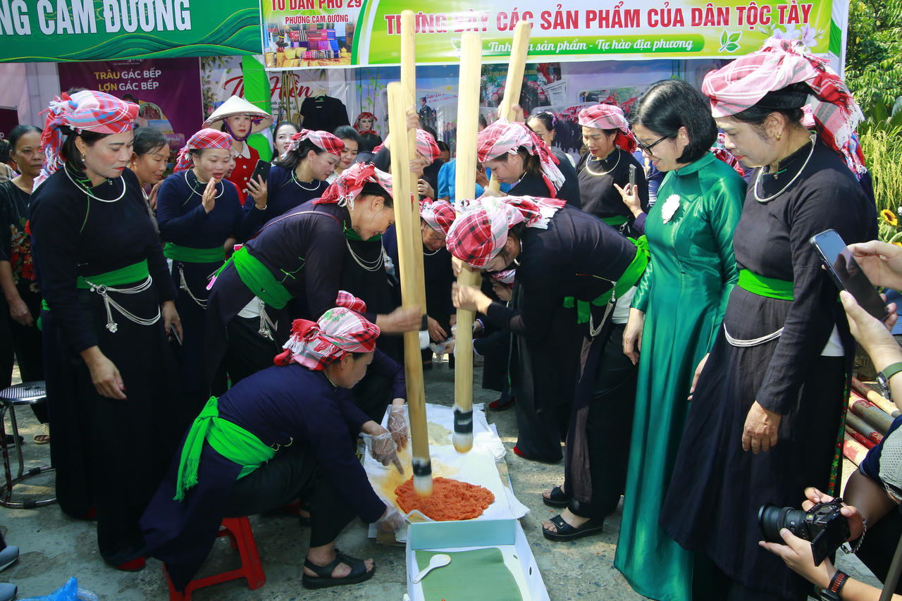 Khai hội Đền Đôi Cô Cam Đường năm 2026