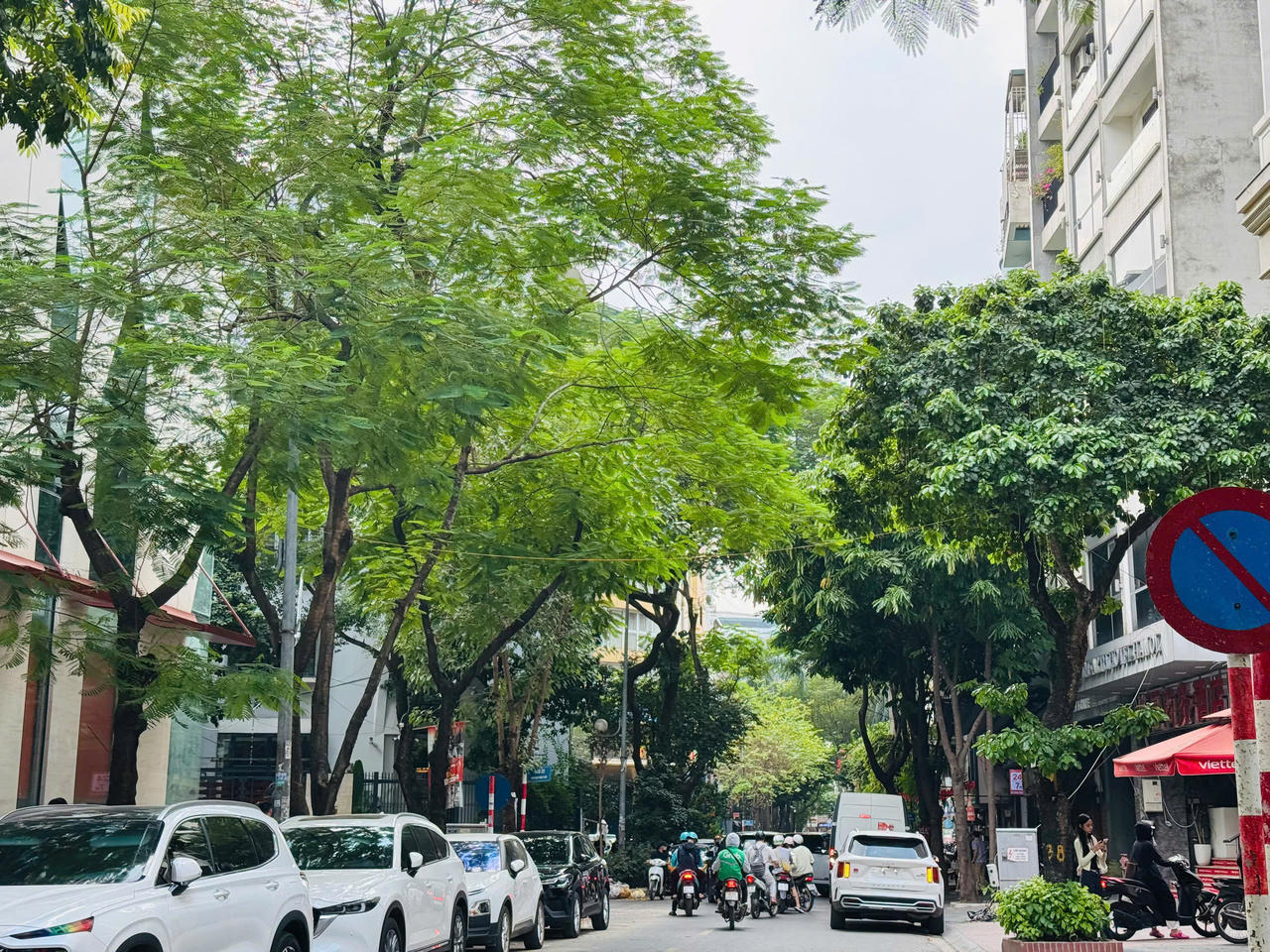 Quản lý cây xanh Thủ đô: Từ chỉnh trang cảnh quan đến thích ứng biến đổi khí hậu