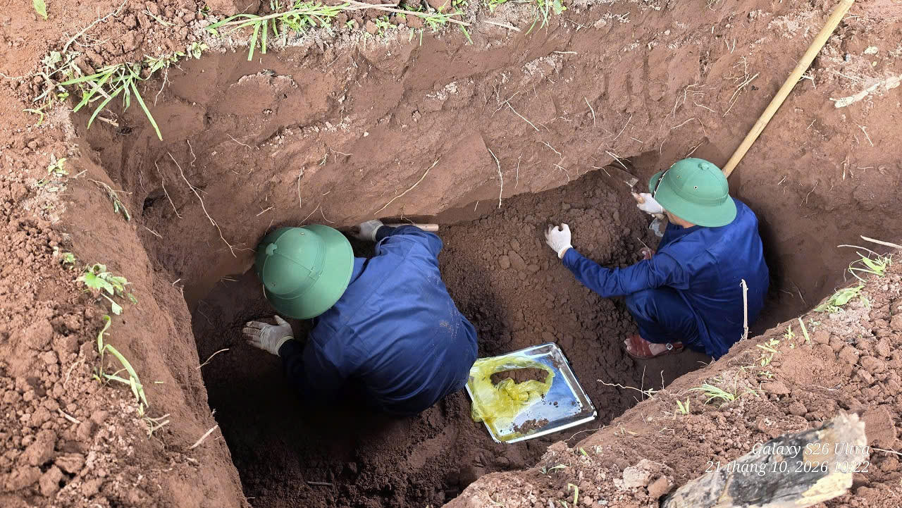 Cán bộ, chiến sĩ cẩn trọng đào tìm hài cốt liệt sĩ tại khu vực rừng tràm thuộc bản Bãi Dinh, xã Dân Hóa. (Ảnh: Bộ CHQS tỉnh Quảng Trị)