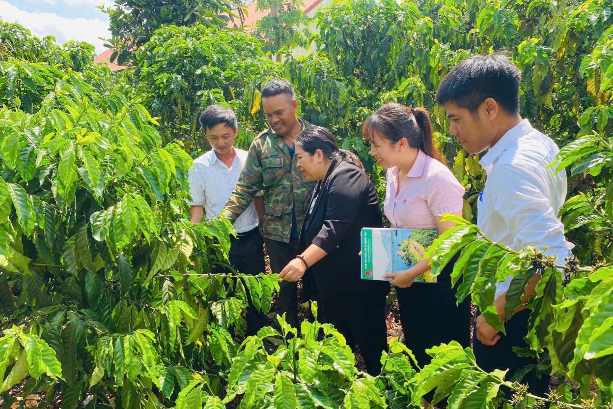 Lan tỏa hiệu quả tín dụng chính sách ở Gia Lai từ Chỉ thị 39 của Ban Bí thư