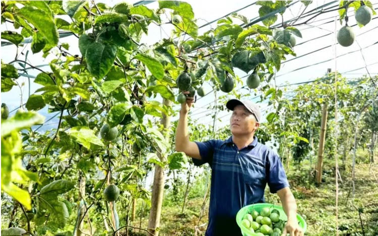 Lào Cai phân bổ hơn 105 tỷ đồng thực hiện các chương trình mục tiêu quốc gia năm 2026