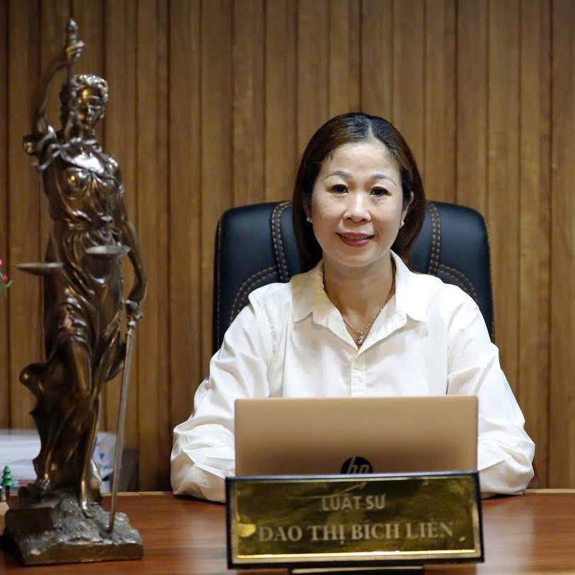 Luật sư Đào Thị Bích Liên, Đoàn Luật sư TP.HCM