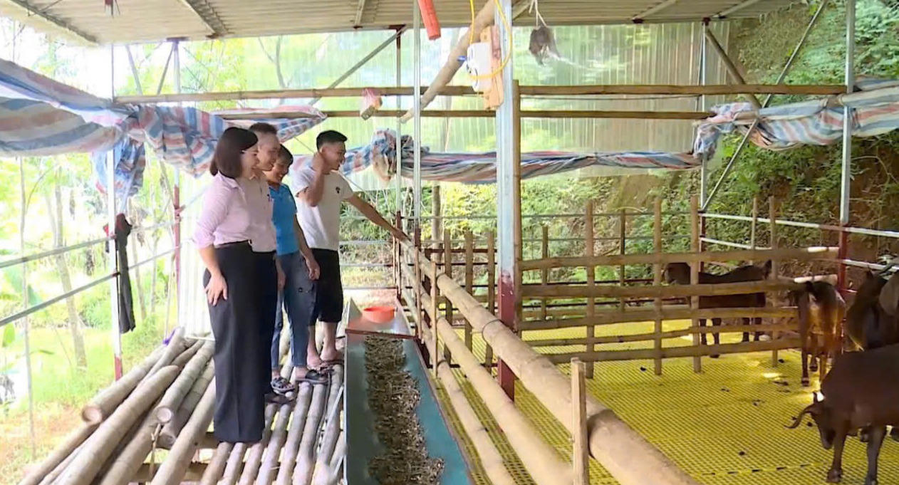 Những mô hình sản xuất, chăn nuôi được đầu tư từ nguồn vốn chính sách góp phần tạo việc làm, nâng cao đời sống người dân Tân Sơn.