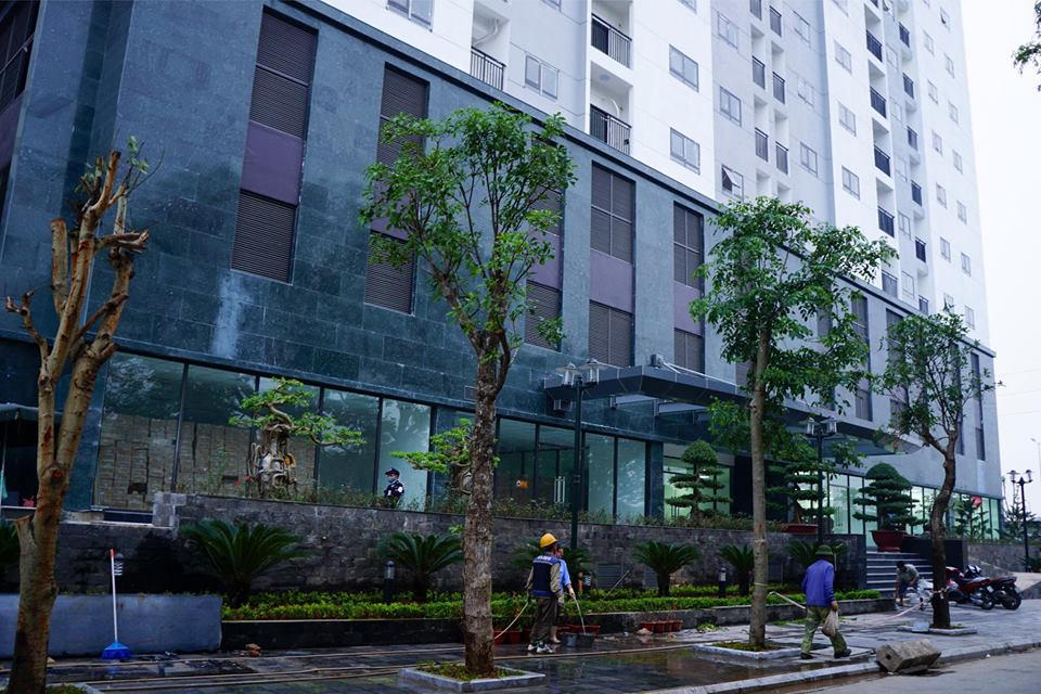 Hateco Hoàng Mai: Cư dân háo hức nhận bàn giao nhà