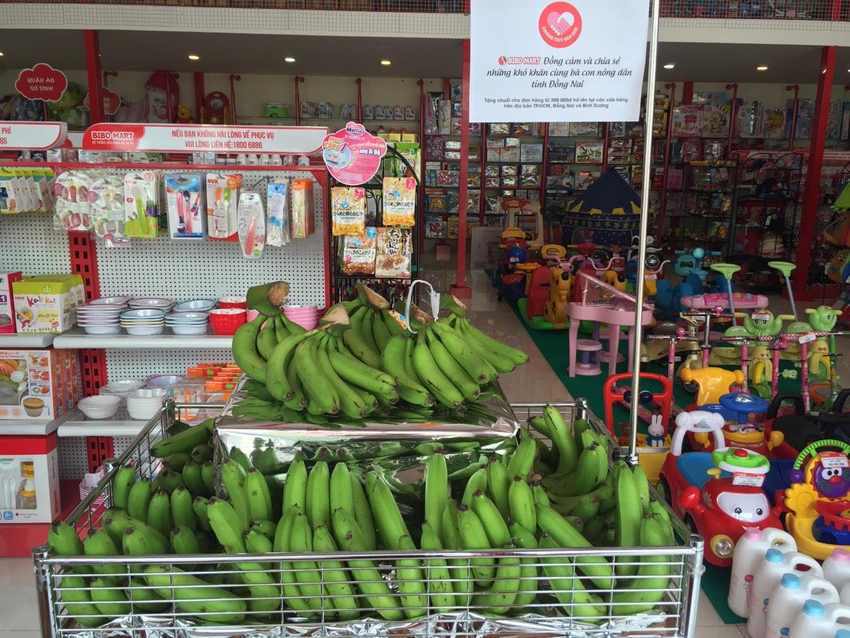 Bibomart ủng hộ nông dân trồng chuối